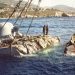 Η τραγωδία ανοιχτά της Σάμου