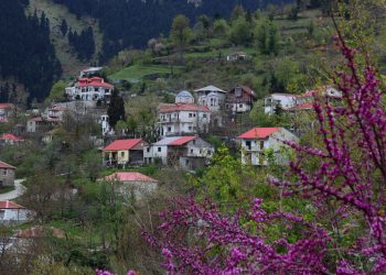 Έχασε την ζωή του στην αναζήτηση …καυσόξυλων στα ορεινά του Δήμου Πύλης
