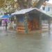 Ασορτί…