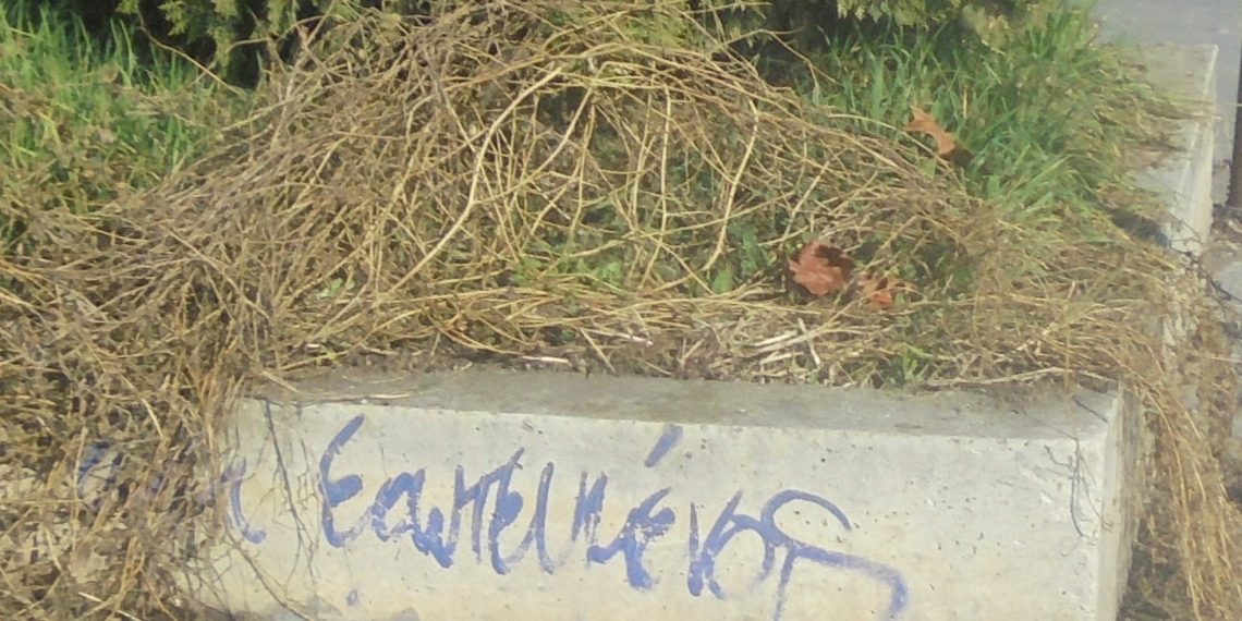 Μήνυμα …ελπίδας σε πεζούλι των Τρικάλων