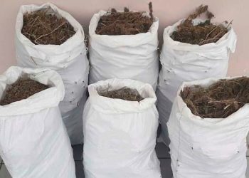 Τρικαλινός με τσουβάλια …χασίς