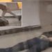 Χειροπέδες σε ανήλικα αδέρφια και σε Ειδικό Φρουρό για τον ξυλοδαρμό Σταθμάρχη του Μετρό