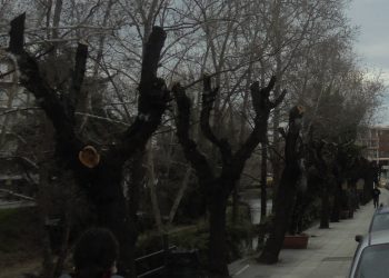 Νέο «λουκ» για τον Ληθαίο ποταμό