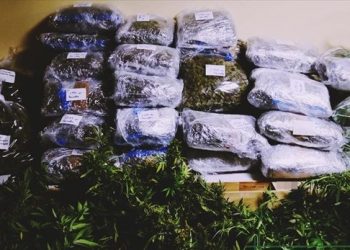 Φοιτητές και Ταξιτζήδες πίσω από την εμπορία ναρκωτικών