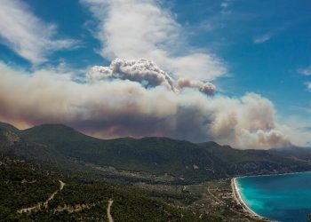 Στις φλόγες οικίες από δασική πυρκαγιά