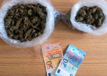 Με την συνδρομή σκύλου ο εντοπισμός του χασίς