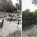Συναυλία στα Τρίκαλα στην … παραλία