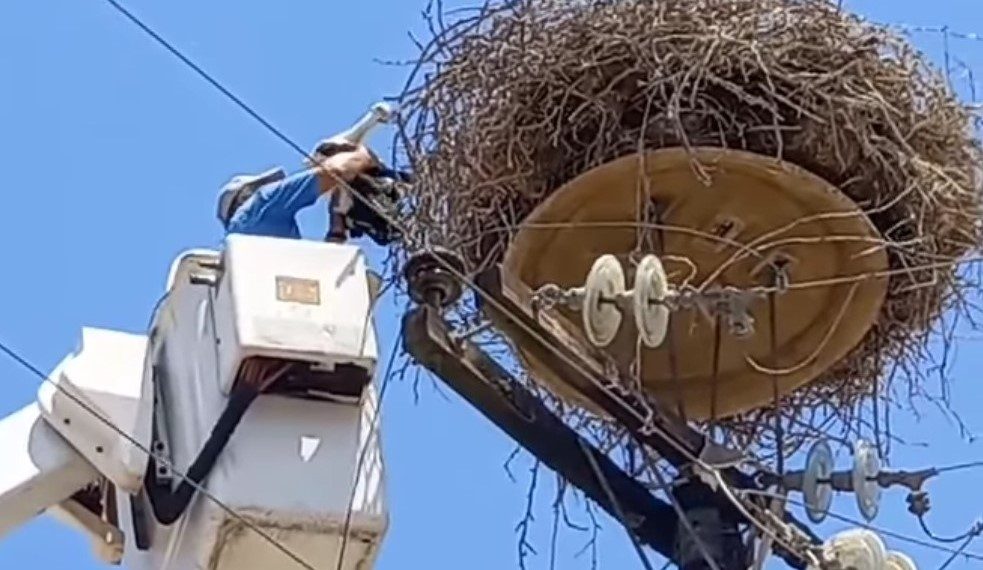 «Επιχείρηση πελαργός» στα Τρίκαλα