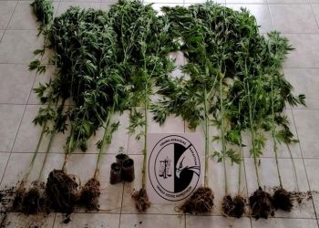 Χειροκαλλιέργεια στην …αυλή οικίας