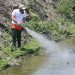 Πρόγραμμα καταπολέμησης κουνουπιών