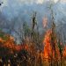Κίνδυνος κατηγορίας 4 και προληπτικά μέτρα