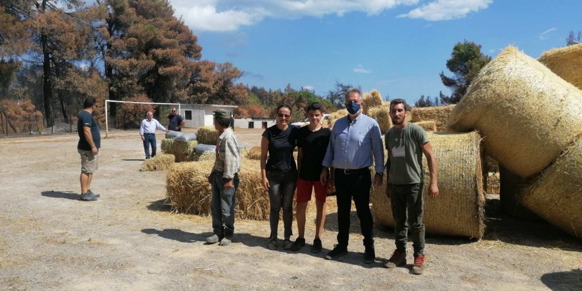 Η αλληλεγγύη νικά την καταστροφή