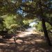 Παρατείνεται η …απαγόρευση