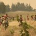 Για τις καταστροφές από τις πυρκαγιές και την αλληλεγγύη στους πληγέντες