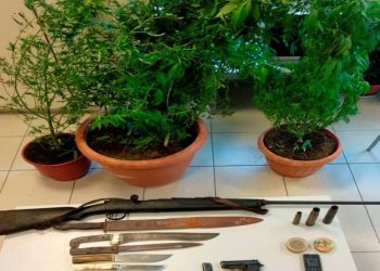 Χασισοφυτεία και οπλοστάσιο