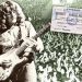 Δεν ήθελα να πεθάνω σε ένα γήπεδο ποδοσφαίρου στην Ελλάδα