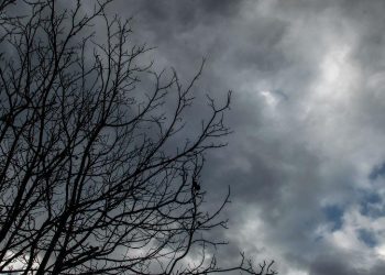 Χειμωνιάτικο σκηνικό στον Νομό Τρικάλων