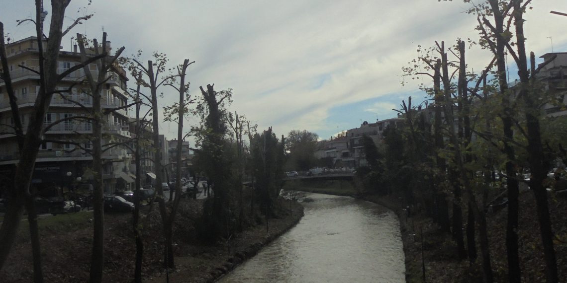 Βρέθηκαν …καυσόξυλα
