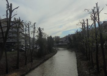 Βρέθηκαν …καυσόξυλα