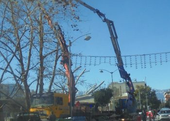 Συνέχεια …κλαδέματος