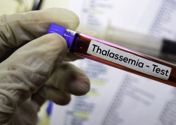 Η διαφορετικότητα ως βασική αναφορά εξέλιξης και ύπαρξης