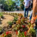 Αποκτούν …χρώμα οδικοί κόμβοι των Τρικάλων