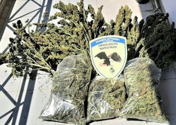 Συλλήψεις στα Τρίκαλα για υπόθεση χασίς