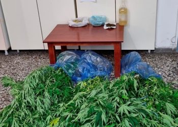 Χειροπέδες σε χασισοκαλλιεργητή