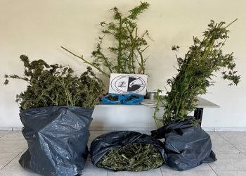 Έφοδος Αστυνομικών με σκύλο σε οικία