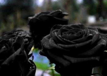 Τραγικό παιχνίδι της μοίρας για 22χρονο