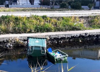Έμαθαν …κολύμπι