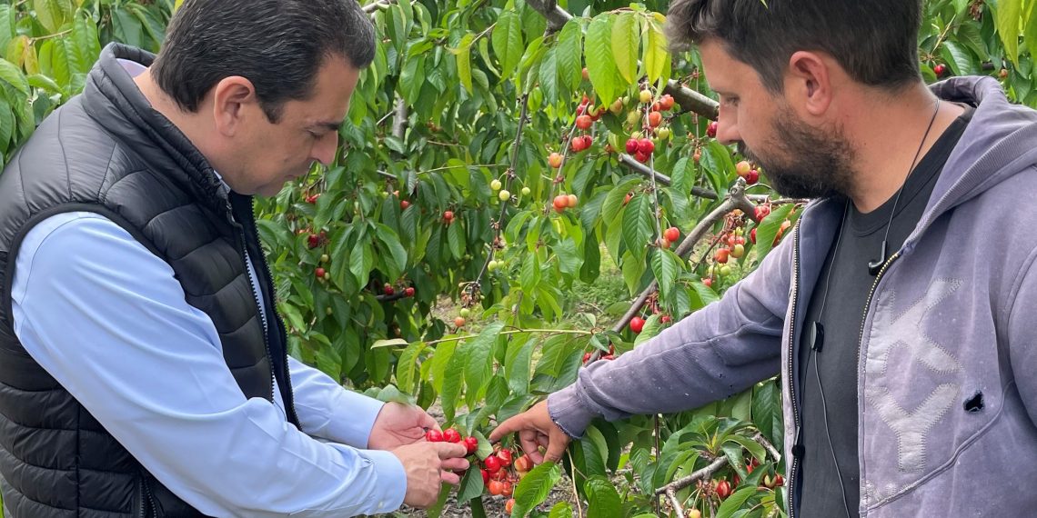 Ενημέρωση και για τις ζημιές στην παραγωγή