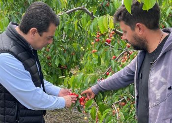 Ενημέρωση και για τις ζημιές στην παραγωγή