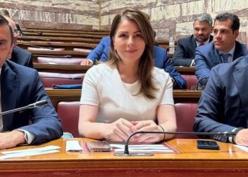 Συμμετοχή της Κατερίνας Παπακώστα σε Επιτροπές της Βουλής