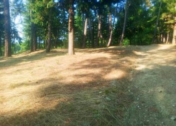 Προστασία του «πνεύμονα» των Τρικάλων