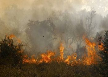 Φονικές πυρκαγιές στην Μαγνησία