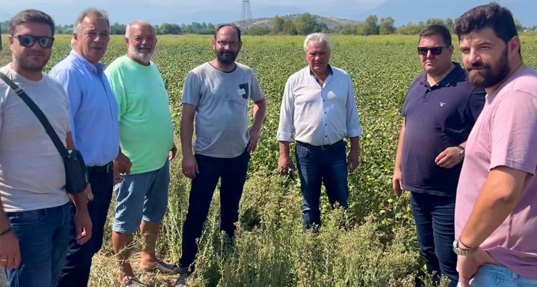 Στις πληγείσες από την κακοκαιρία περιοχές των Τρικάλων κλιμάκιο του ΕΛΓΑ