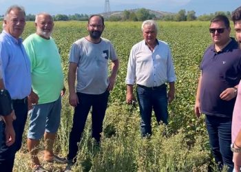 Στις πληγείσες από την κακοκαιρία περιοχές των Τρικάλων κλιμάκιο του ΕΛΓΑ
