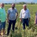 Στις πληγείσες από την κακοκαιρία περιοχές των Τρικάλων κλιμάκιο του ΕΛΓΑ