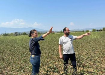 Είναι πράγματι συγκλονιστικό να βλέπεις το βιος σου κατεστραμμένο