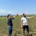 Είναι πράγματι συγκλονιστικό να βλέπεις το βιος σου κατεστραμμένο