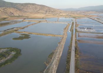 Αιτήματα από τα Επιμελητήρια Θεσσαλίας προς την Κυβέρνηση
