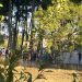 Συλλήψεις, τραυματισμοί και …ΠΔΕ για τα επεισόδια στην Λάρισα