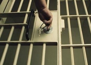 Προφυλάκιση του ιδιοκτήτη των σκύλων που κατασπάραξαν 50χρονη