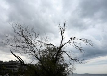 Σε επιφυλακή Περιφερειακή Ενότητα Τρικάλων και Δήμος Τρικκαίων