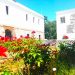 Εκδηλώσεις με αφορμή τα εγκαίνια του «Μουσείου Τσιτσάνη»
