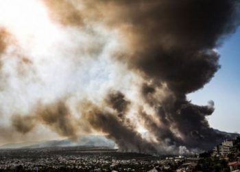 Το «επιτελικά» οργανωμένο έγκλημα συνεχίζει την καταστροφή της χώρας