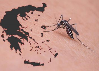 Καμπανάκι κρούει ο ΕΟΔΥ για τον ιό του Δυτικού Νείλου