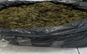 «Ορφανή» ποσότητα χασίς σε δασική περιοχή του Δήμου Αργιθέας