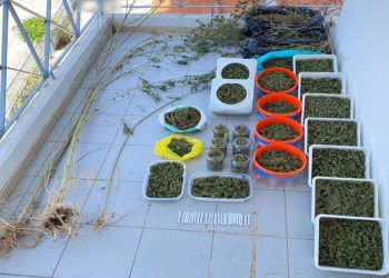 Χειροπέδες σε υπόθεση χασισοκαλλιέργειας στα Τρίκαλα